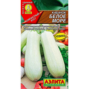 Кабачок Белое море Аэлита Ц