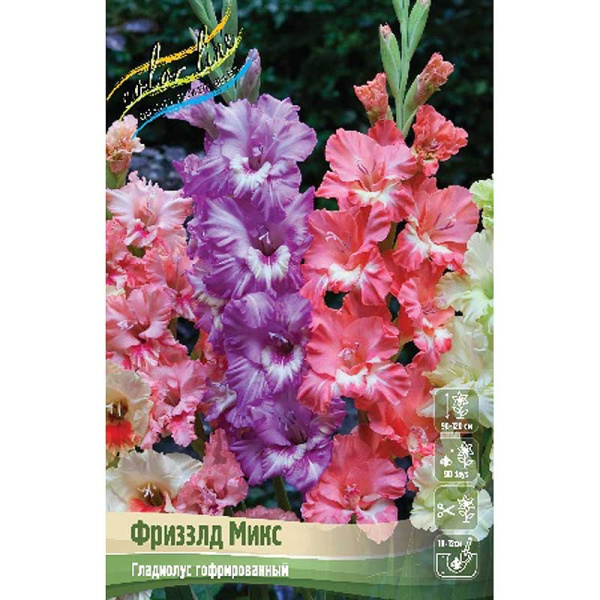 Гладиолус Фриззлд Микс 10/12 8 шт 