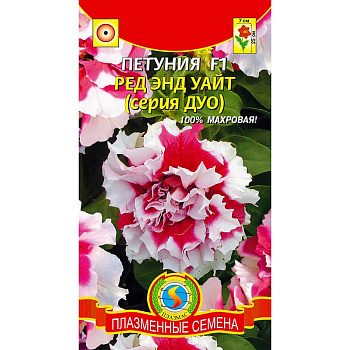 Петуния Дуо Ред энд Уайт Плазма Ц 