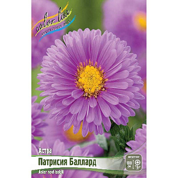 Астра Патрисия Баллард I 1 шт