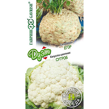 ДУЭТ Капуста цвестна Сугроб+ Сельдерей Егор Гавриш Ц