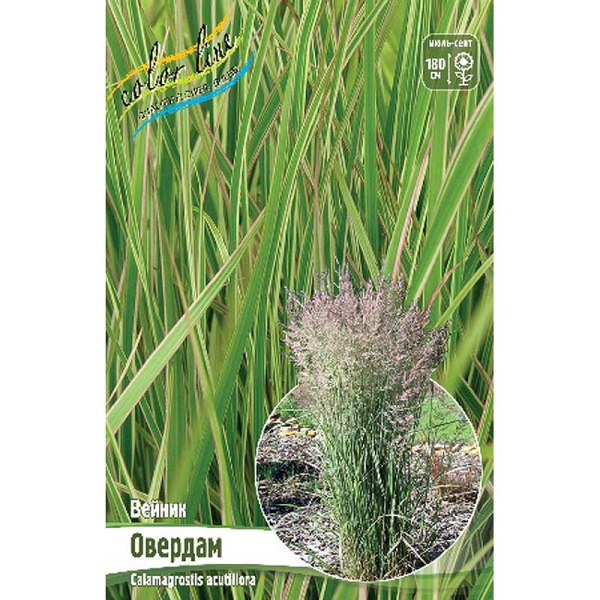 Вейник Овердам 2/3 2 шт