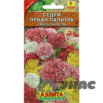 Седум Яркая палитра Аэлита Ц 