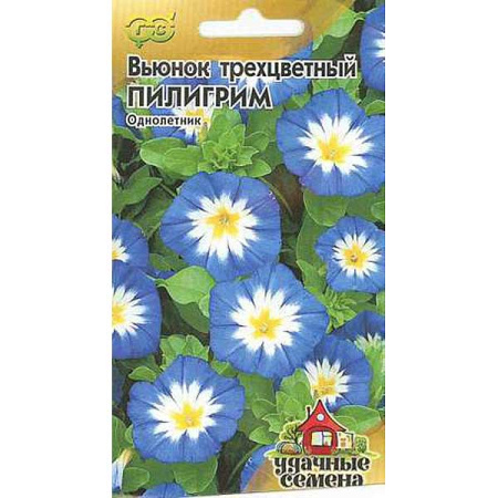 Вьюнок Трехцветный Пилигрим Удачные Семена Гавриш Ц 