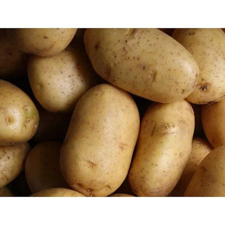 Картофель Арктика СЭ 25кг +/-5% Воронеж