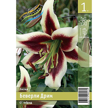 Лилия Беверли Дрим 12/14 1 Эконом шт 