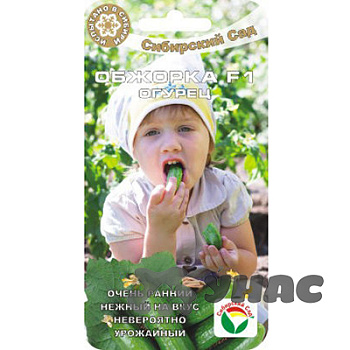 Огурец Обжорка СибСад Ц