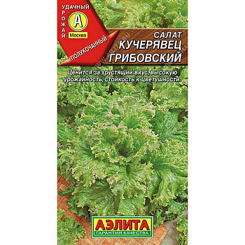 Салат Кучерявец грибовский Аэлита Ц