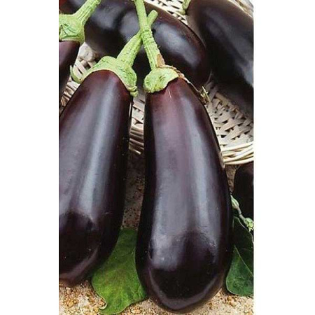 Баклажан Алмаз 1кг Аэлита