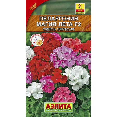 КОМ Пеларгония Магия лета  Аэлита Ц 