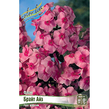 Флокс Брайт Айз I 2 шт