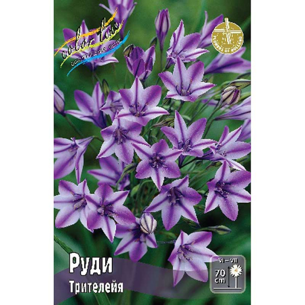 Трителейя Руди 5/+ 100 шт Шоу-бокс 9227 