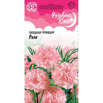 Гвоздика садовая гренадин Роза Гавриш Ц 