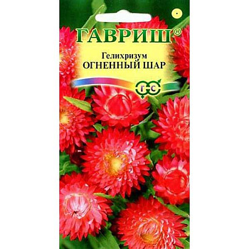 Гелихризум Огненный шар Гавриш Ц 