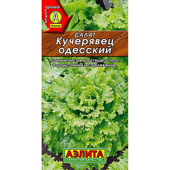 Салат Одесский кучерявец Аэлита Ц