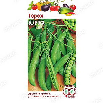Горох Юрга Гавриш Ц