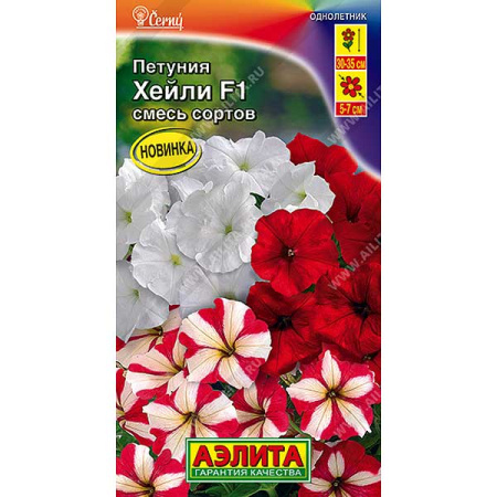 Петуния Хейли Аэлита Ц 