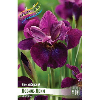 Ирис Сибирский Девилз Дрим I 25 шт Биг-пак 9255