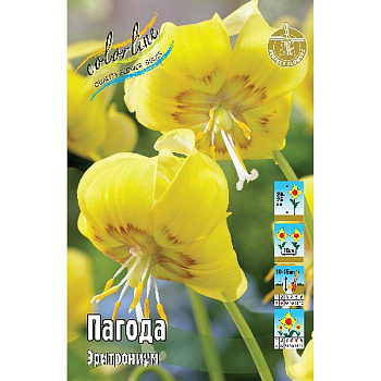 12048 Шоу-Бокс Эритрониум Пагода I 40 шт