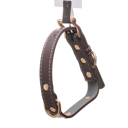 Ошейник 46*2 см полиуритан МИКС NA2619 (480)