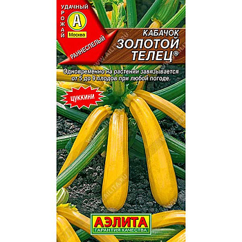 Кабачок Золотой Телец Аэлита Ц