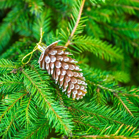 Шар 9DC5-H32B-19 5шт 9см "Шишка" шоколадная с белой каймой (288)