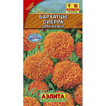 Бархатцы Сиерра оранж. Аэлита Ц 