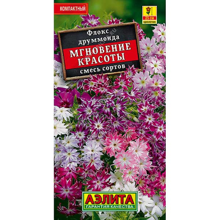 Флокс Мгновение красоты смесь Аэлита Ц 