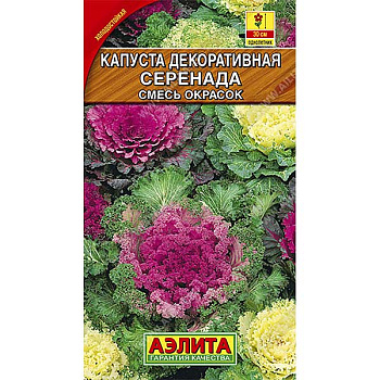Капуста декор. Серенада Аэлита Ц 