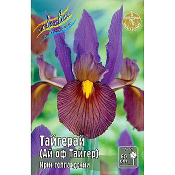 Ирис Голл. Тайгерай 7/8 10 шт