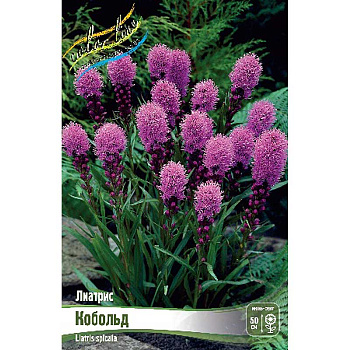 Лиатрис Кобольд 10/12 3 шт