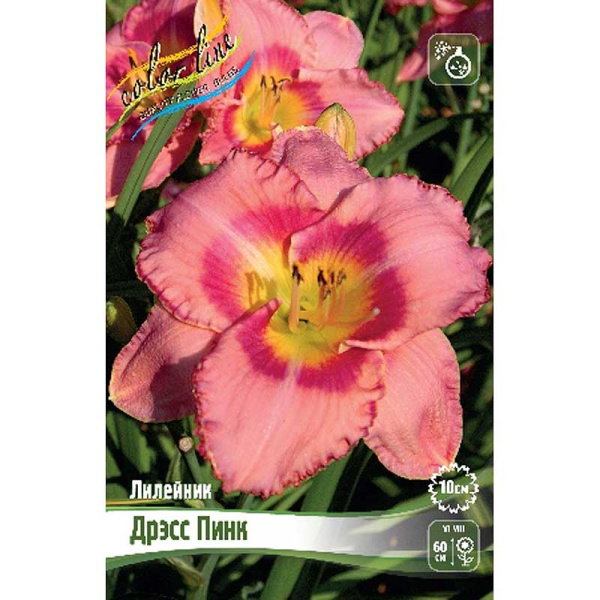 Лилейник Дрэсс Пинк I 25 шт Биг-пак 4564