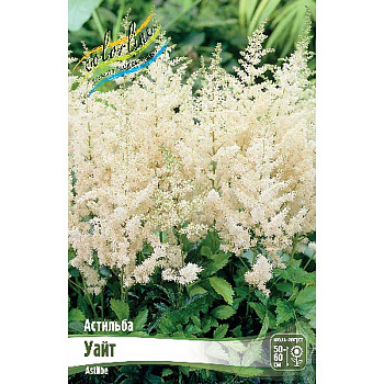 Астильба Уайт 2/3 n 25 шт Биг-Пак 14851 
