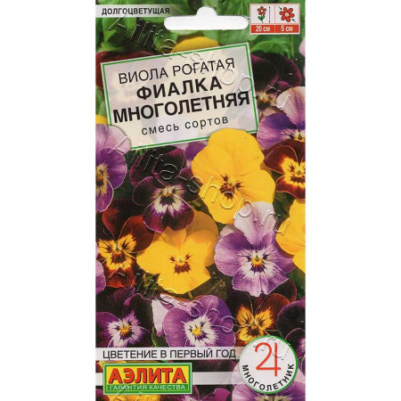 Виола Фиалка многолетняя Аэлита 