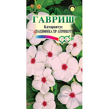 Катарантус Пацифика Априкот Гавриш Ц 