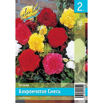 Бегония Бахромчатая Смесь 4/5 2 Эконом шт 