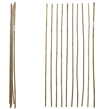 Бамбуковые колышки 120см 10/12мм комплект 10шт (25)