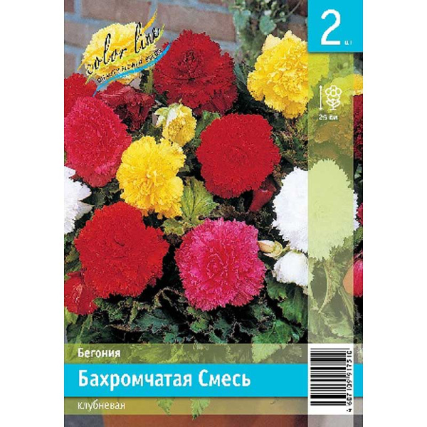 Бегония Бахромчатая Смесь 4/5 2 Эконом шт 