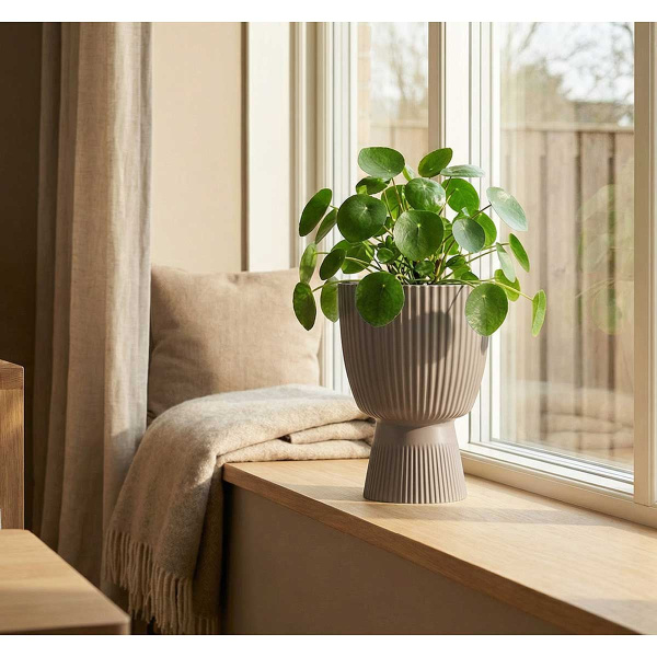 Кашпо ВЕЛЬВЕТ D150мм 1л со вставкой французcкий серый М3268 х10 