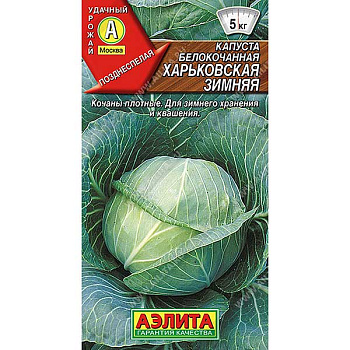 Капуста Харьковская зимняя Аэлита Ц