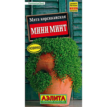 Мята Мини минт корсиканская Аэлита Ц
