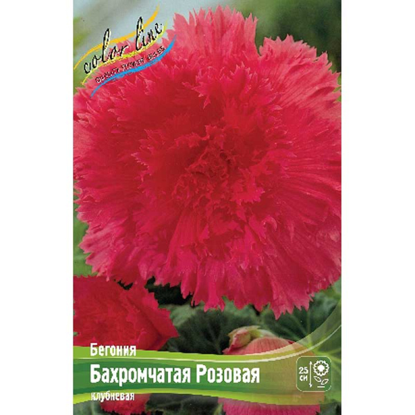 Бегония Бахромчатая Розовая 5/6 50 шт Шоу-бокс 8799