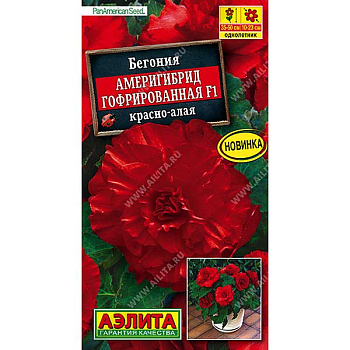 Ком Бегония Америгибрид красно-алая  Аэлита Ц 