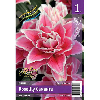 Лилия Roselily Саманта 12/14 1 Эконом шт 