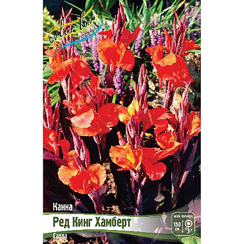 Канна (Коричн) Ред Кинг Хамберт I 15 шт Шоу-бокс 8697