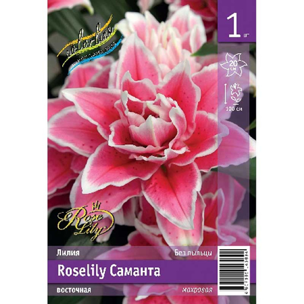 Лилия Roselily Саманта 12/14 1 Эконом шт 