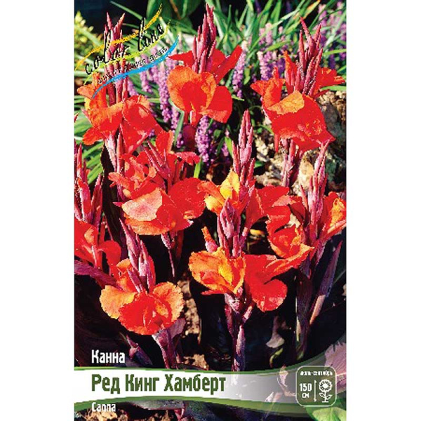 Канна (Коричн) Ред Кинг Хамберт I 15 шт Шоу-бокс 8697