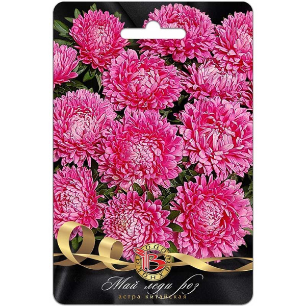 Астра Май Леди Роз Биотехника Ц 