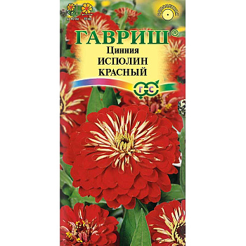 Циния Исполин красный Гавриш Ц 