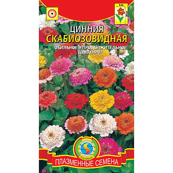 Циния Скабиозовидная смесь Плазма Ц 